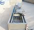 Inox 304 Máy rửa rau siêu âm tự động Máy giặt rau công nghiệp