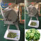 Chế biến thực phẩm tự động 300-1000kg / H Nhà hàng Máy cắt hành tây điện Mchine