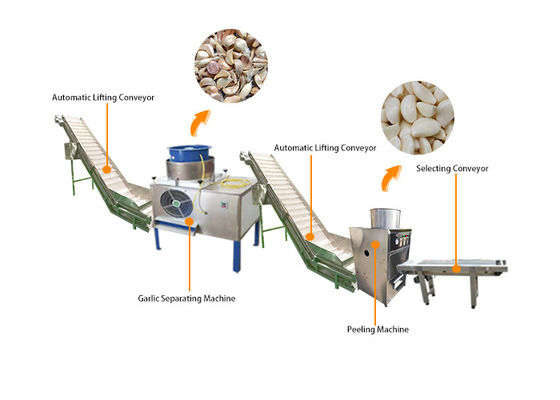 Dây chuyền sản xuất máy chế biến vỏ bóc vỏ tỏi tự động công nghiệp