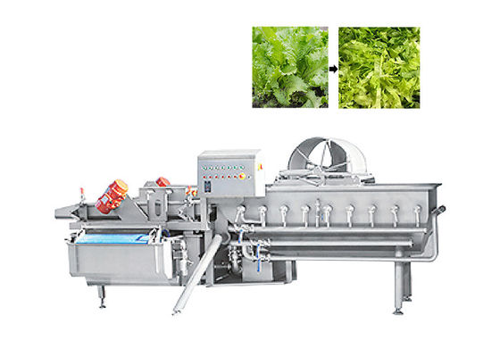 Máy cắt lá xanh 1000kg / H Máy cắt rau diếp cho rau xà lách trái cây