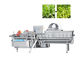 Máy cắt lá xanh 1000kg / H Máy cắt rau diếp cho rau xà lách trái cây